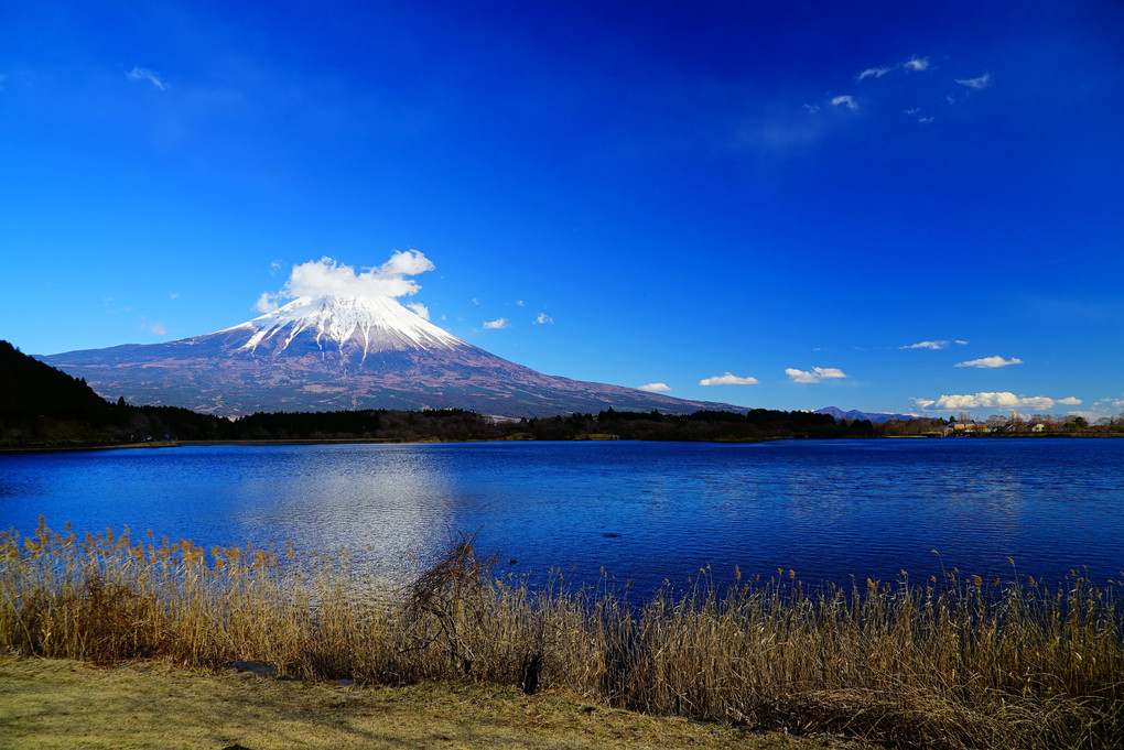 2月17日　富士山一周　田貫湖