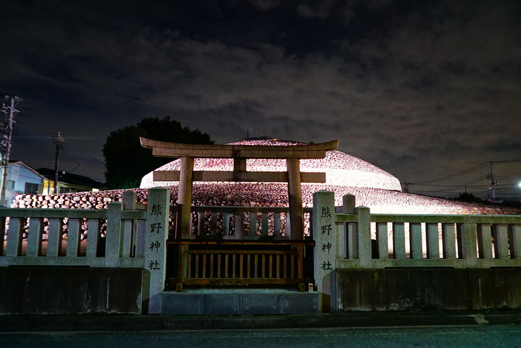 武蔵府中熊野神社古墳 