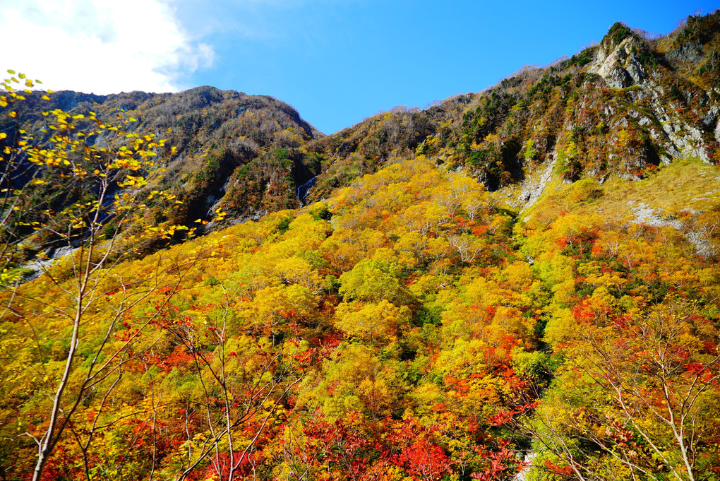 槍ヶ岳　　槍沢の紅葉