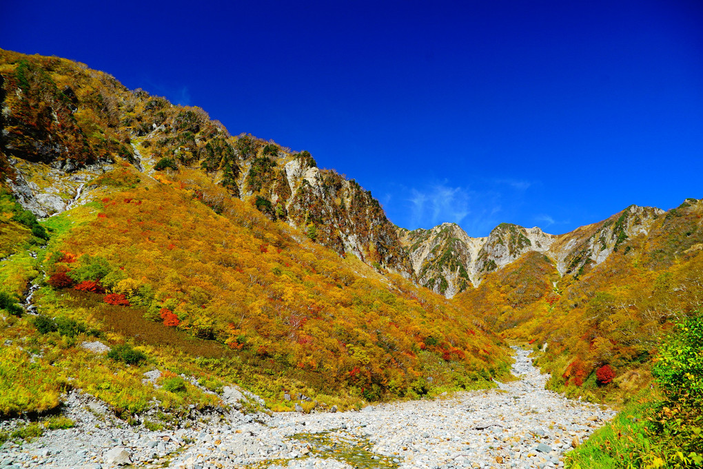 槍ヶ岳　　槍沢の紅葉