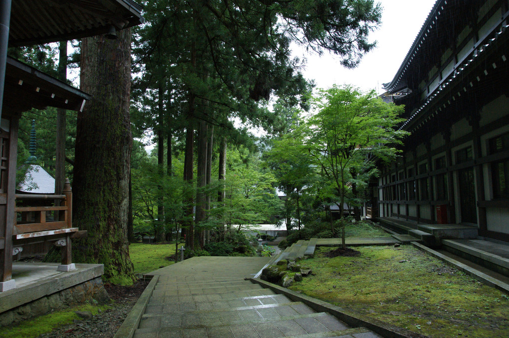 雨上がりの永平寺