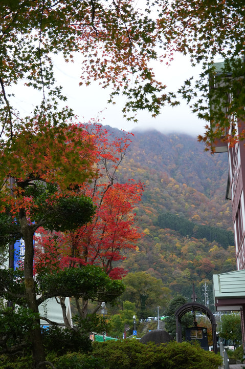 黒部峡谷紅葉