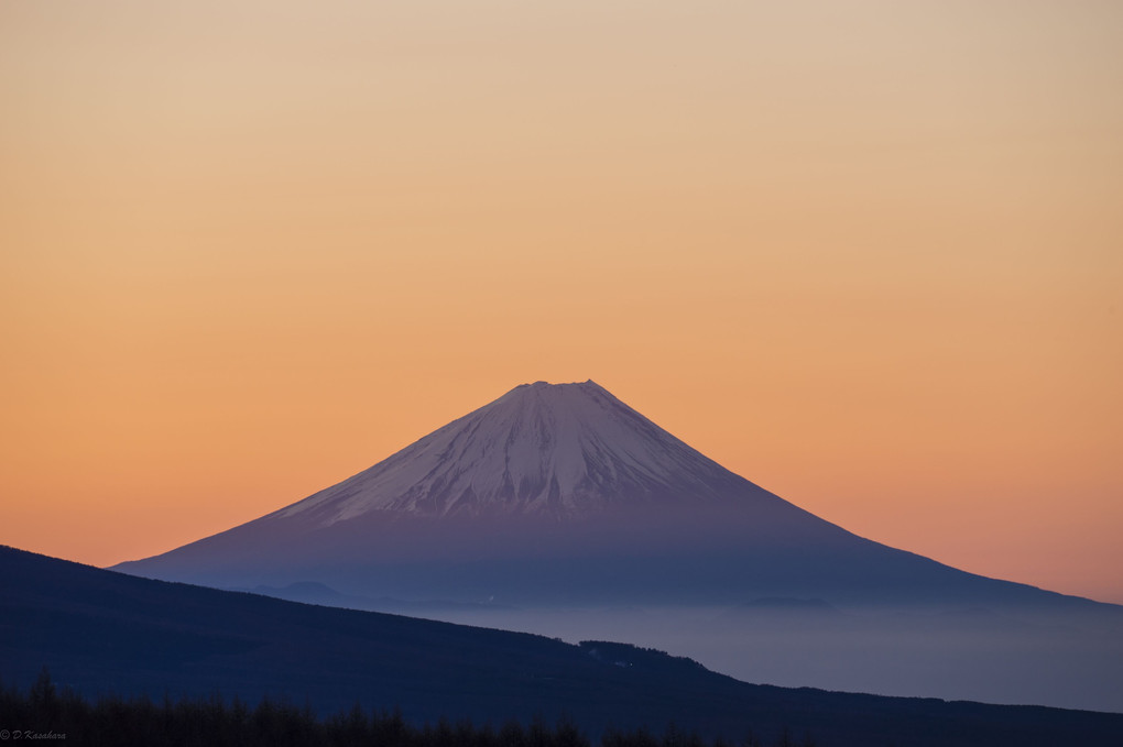 霧ヶ峰より富士山の夜明け