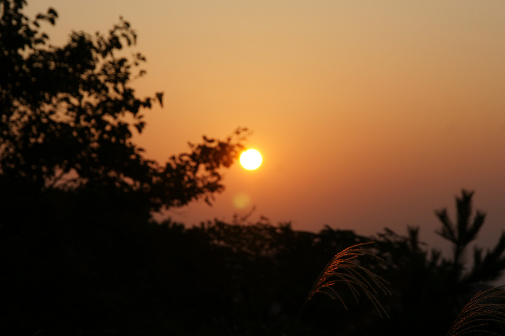 六甲山からの日の出