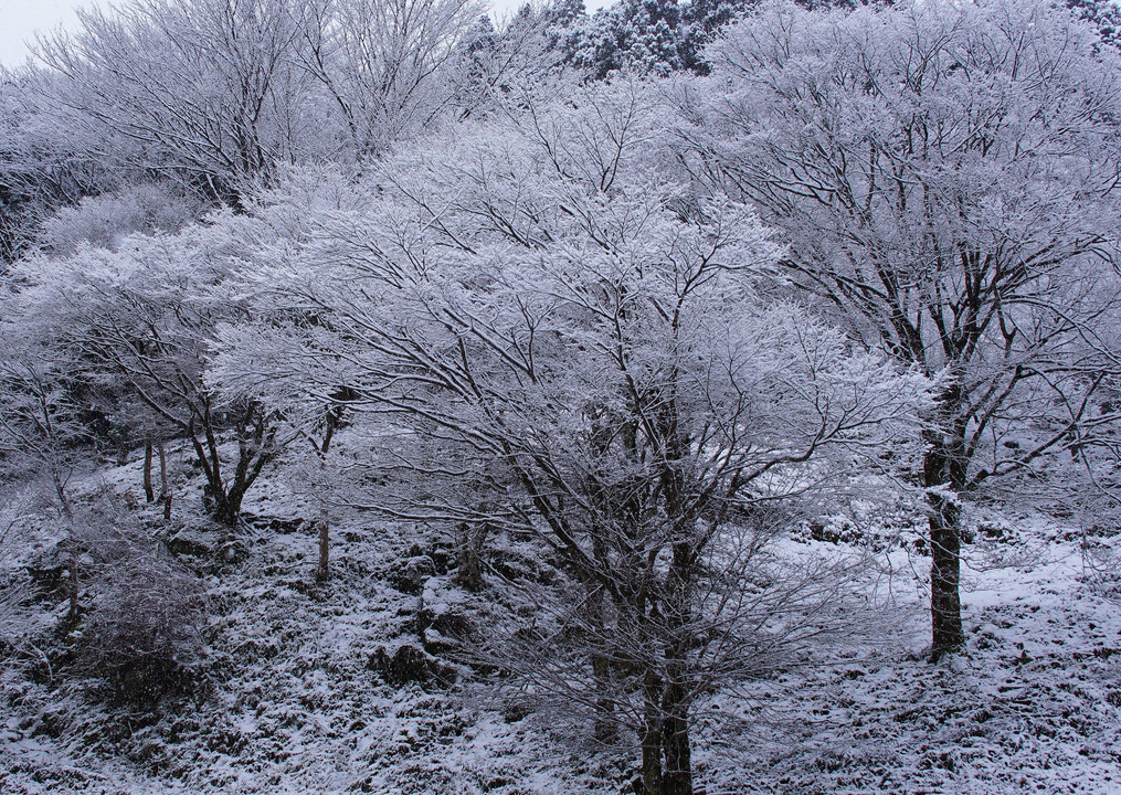 雪景色　(2)