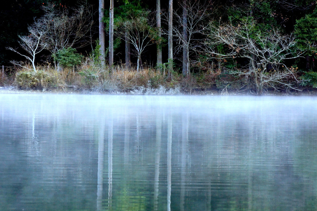 霧の池　
