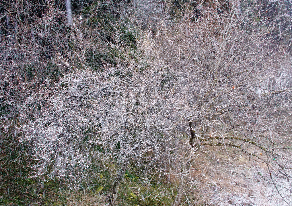 吹雪