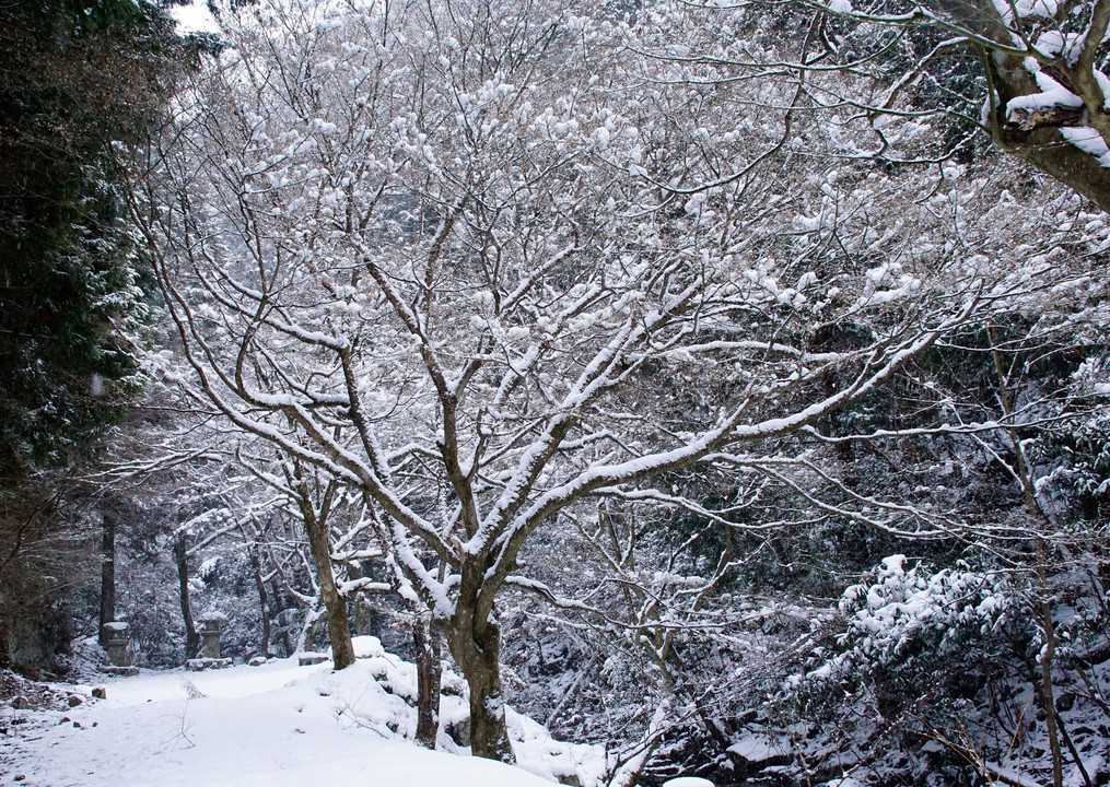 雪路