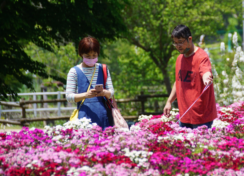 春の公園　　1.　　　