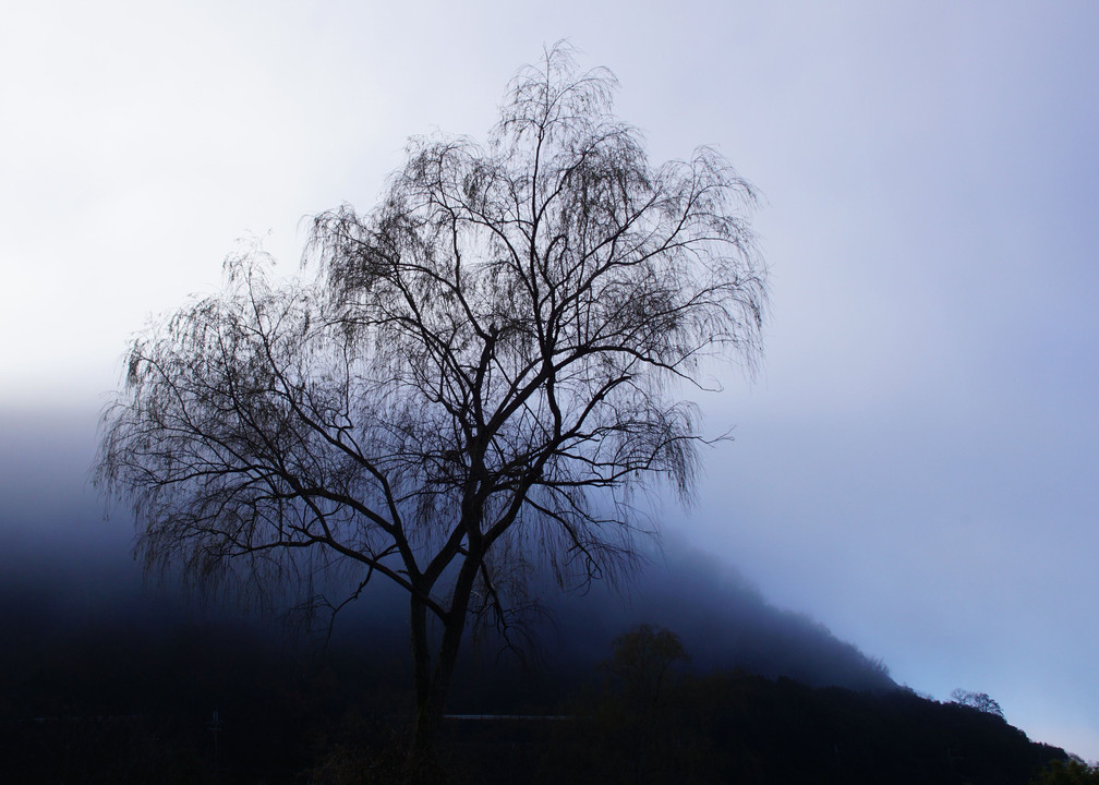 霧の朝　4　