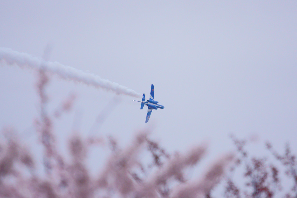 Blue Impulse