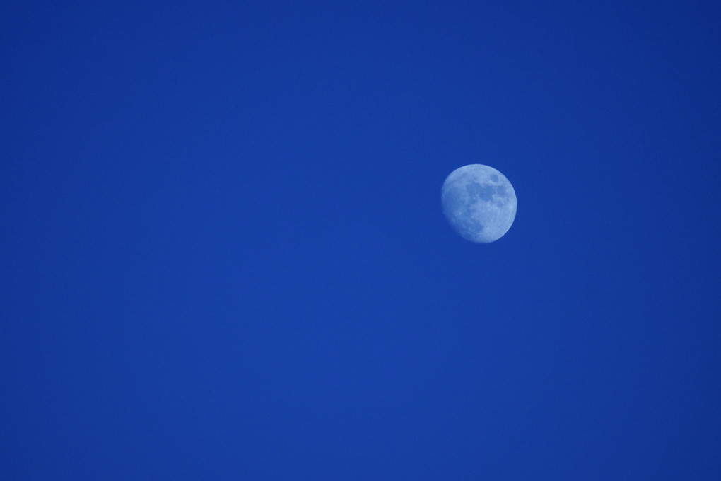 Ultramarine sky, White moon