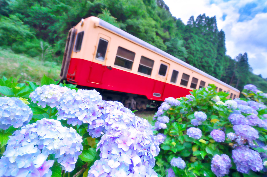 小湊鉄道線