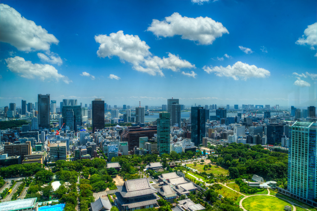 東京タワーからの風景