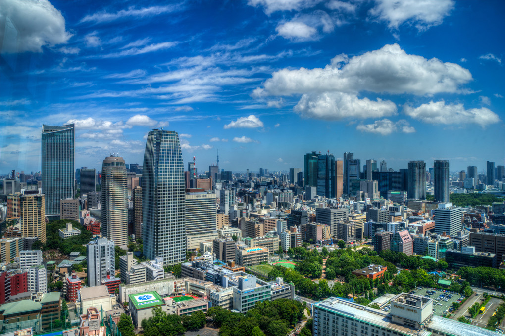 東京タワーからの風景