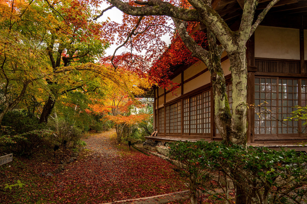 神蔵寺の紅葉