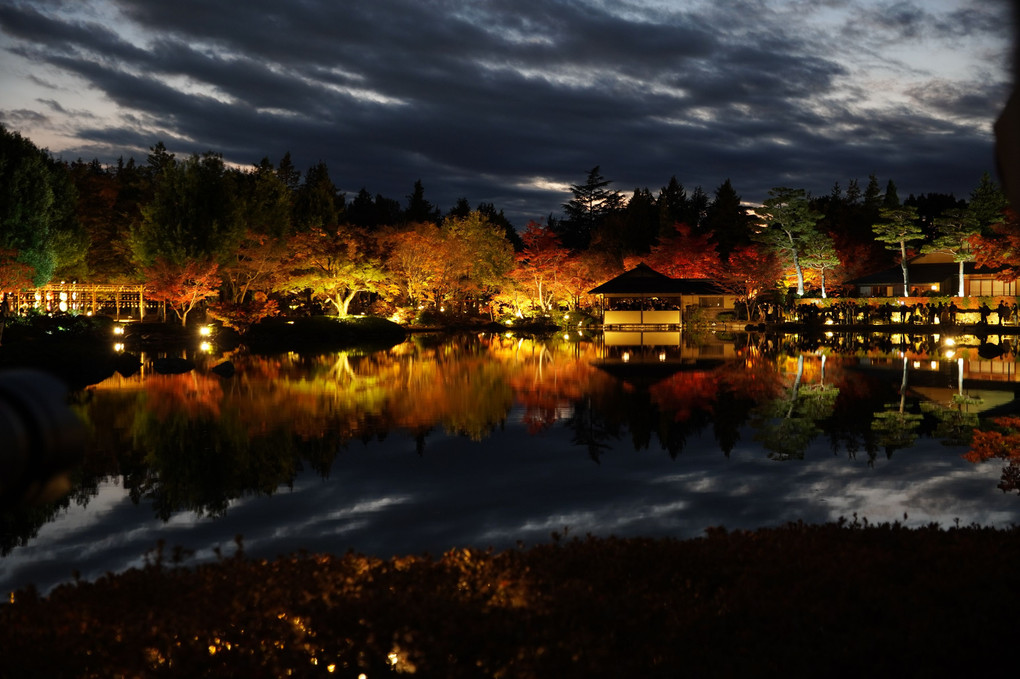 昭和記念公園　日本庭園ライトアップ