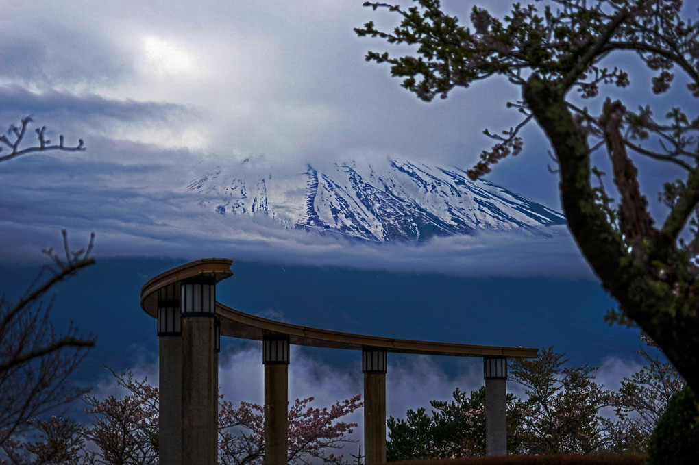 ホテルの庭とちょっぴり富士山