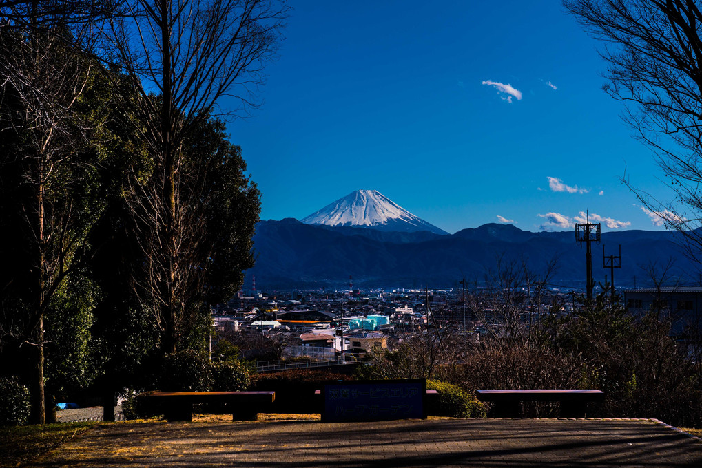 公園の富士
