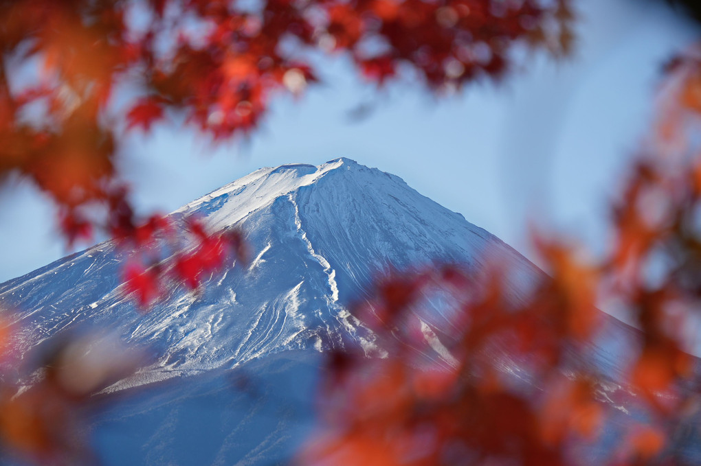 紅葉の向こうの富士山