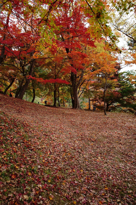 紅葉狩り