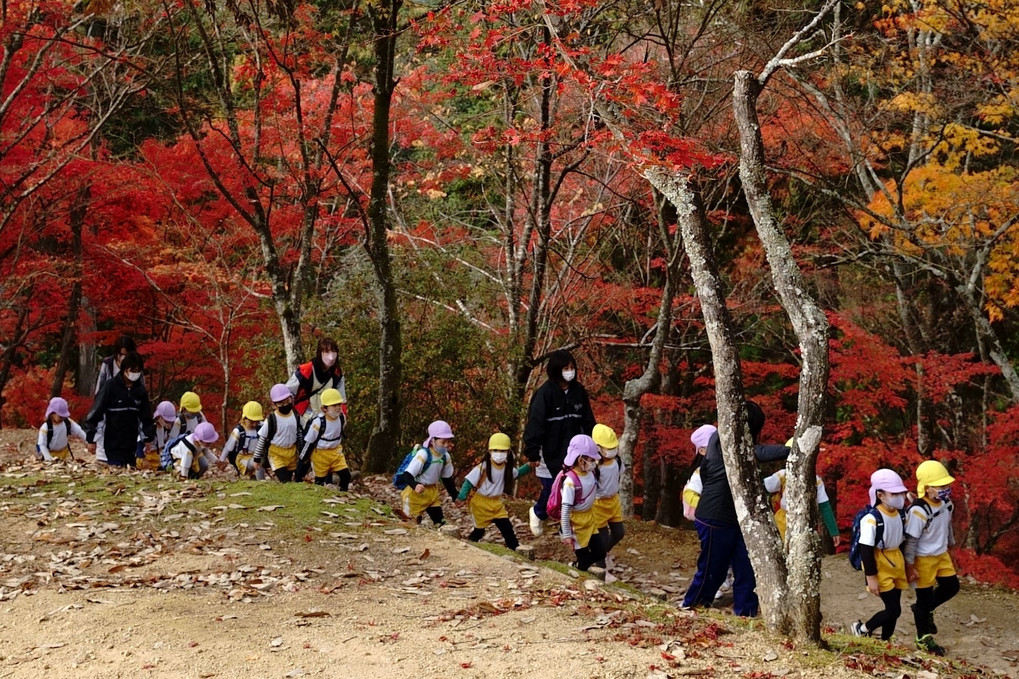 紅葉狩り