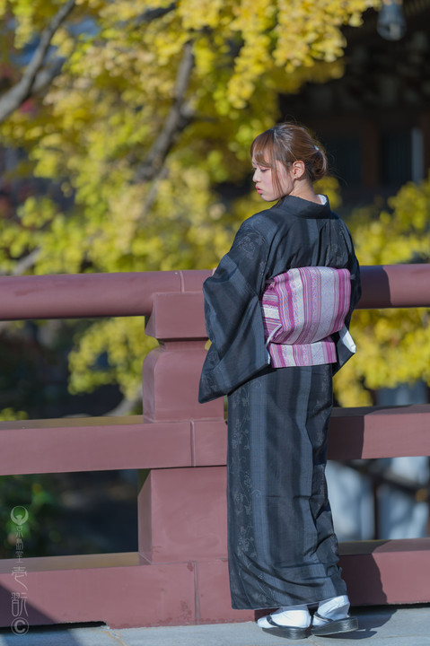 芝神明江戸の秋