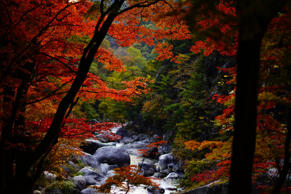 秋の昇仙峡