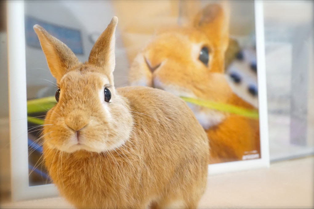 「とっておきの一枚」ということで。^^