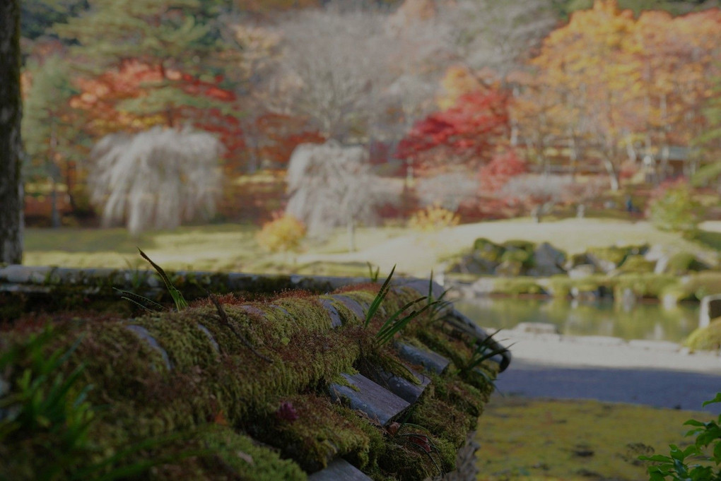 栃木県 古峯神社