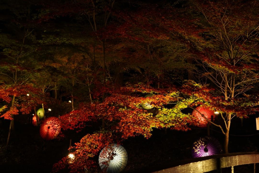 栃木県間々田神社の紅葉