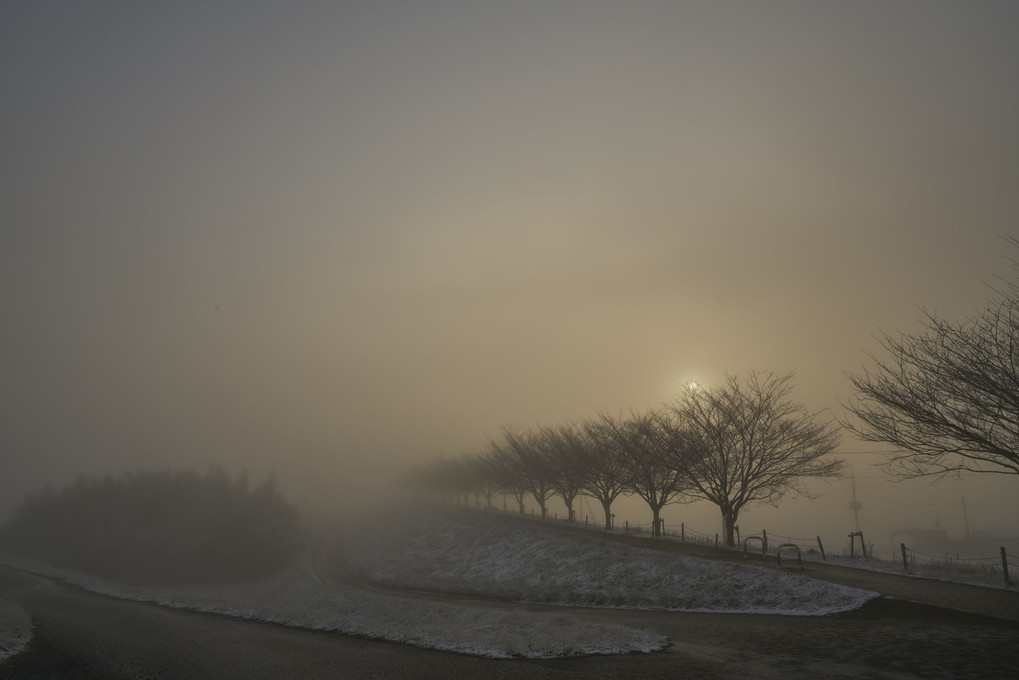 思川、雪の日の朝霧