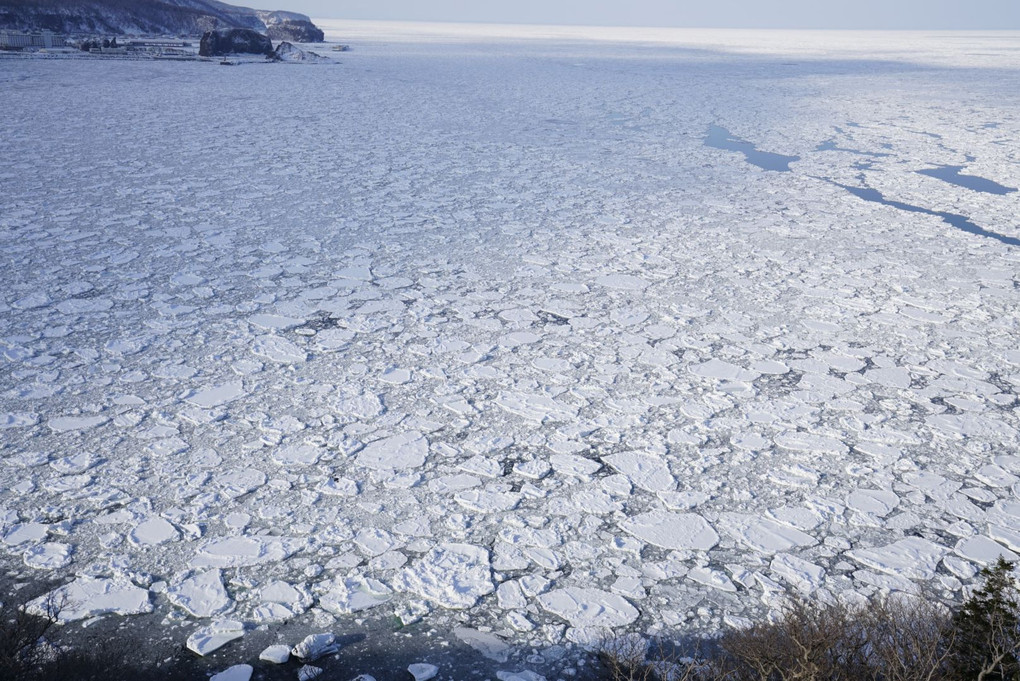 プユニ岬の流氷関連