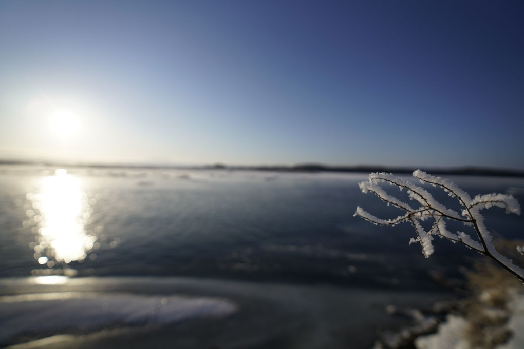 濤沸湖の冬