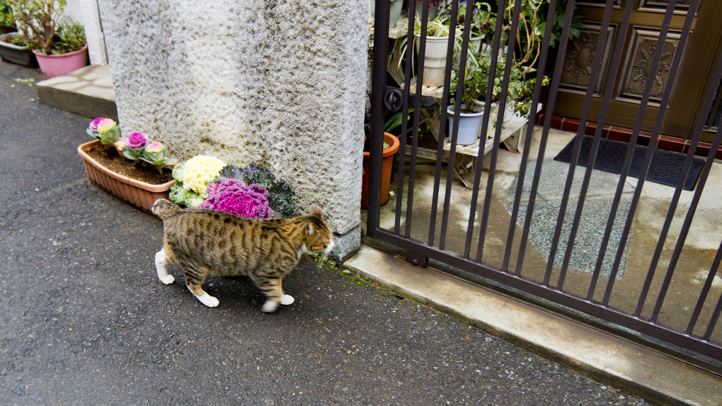 こっそり朝帰り