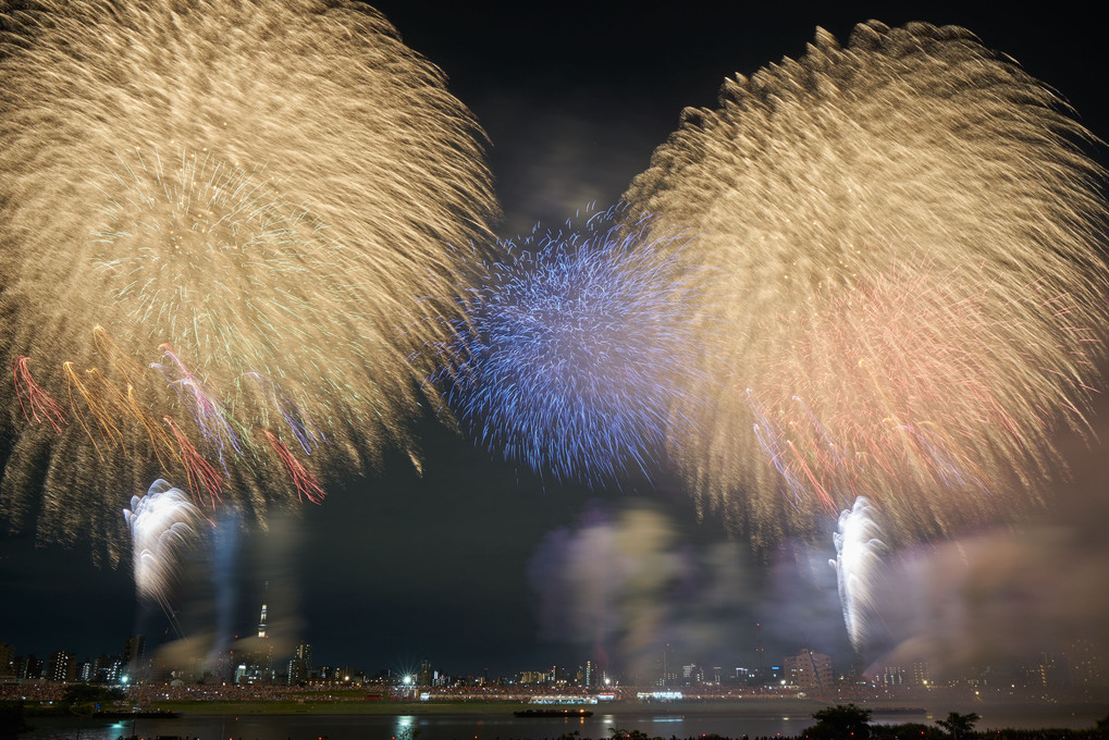 夏の夜の夢