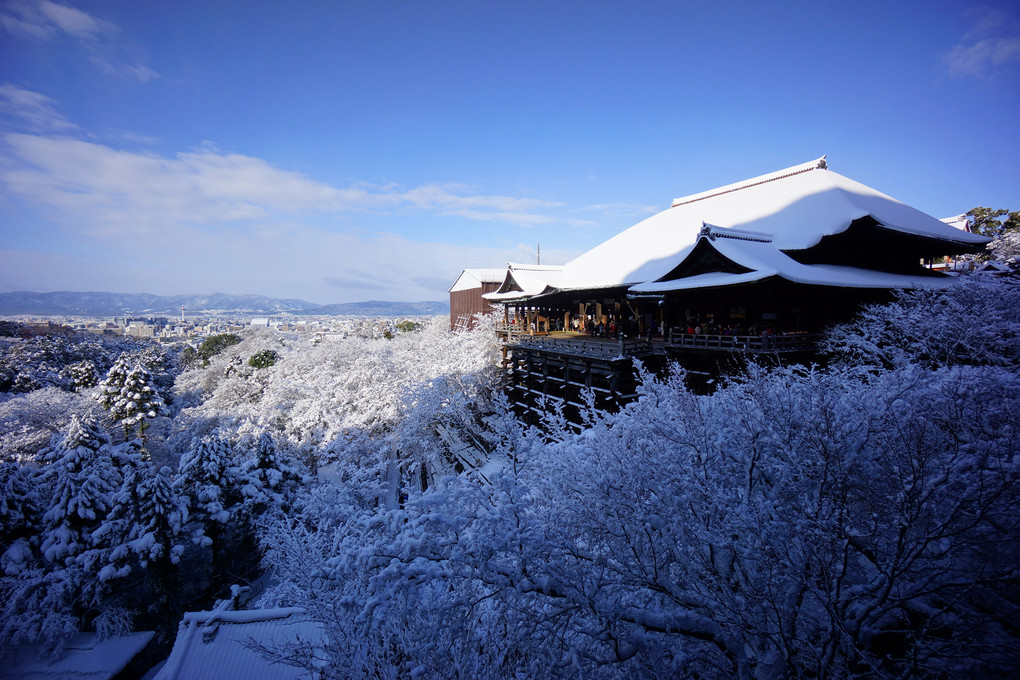 雪が積もった日は？