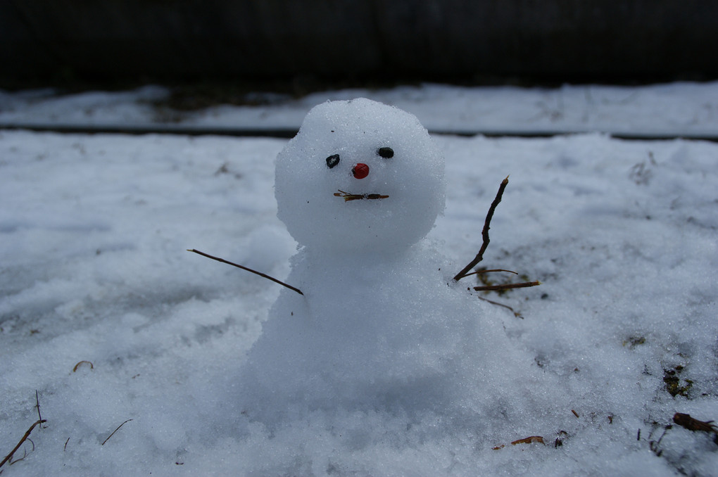 雪の天使、お帰りなさい。