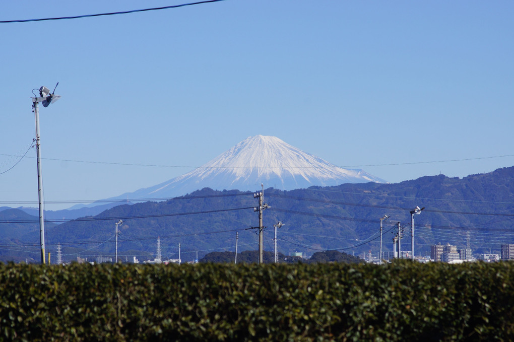魅惑の富士山