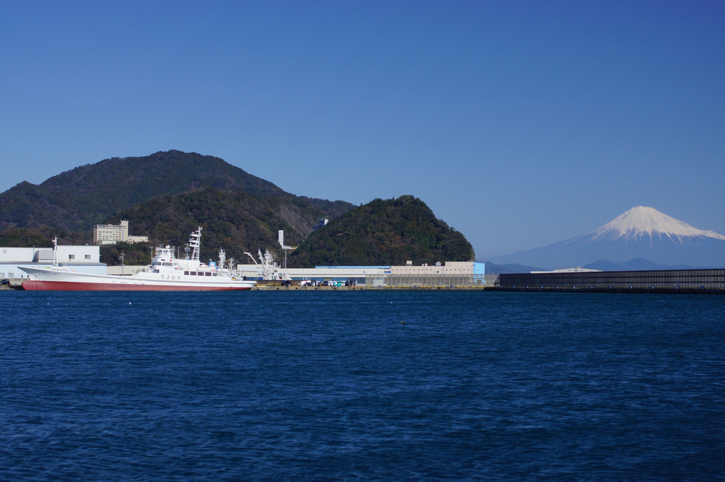 焼津漁港と富士山を