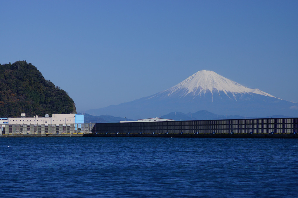 　🌸富士山🌸