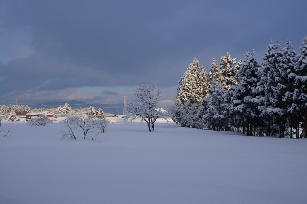 雪国三景