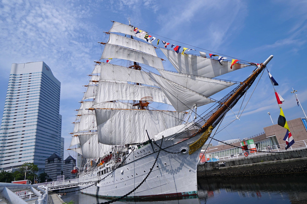 海の日2018 帆船日本丸の総帆展帆と満船飾