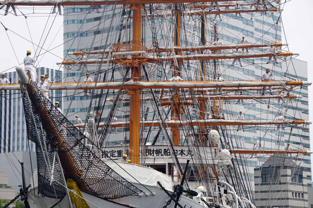 海の日2018 帆船日本丸の総帆展帆と満船飾