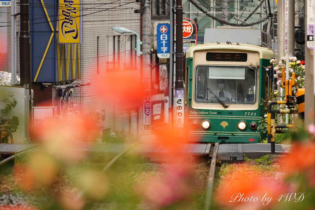 東京さくらトラム　薔薇の大塚駅前