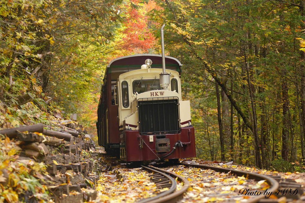 森林鉄道の秋