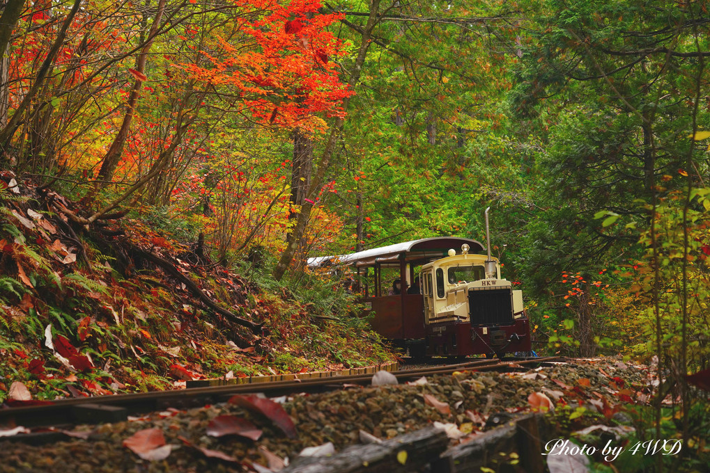 木曽路はすべて山の中　晩秋の森林鉄道