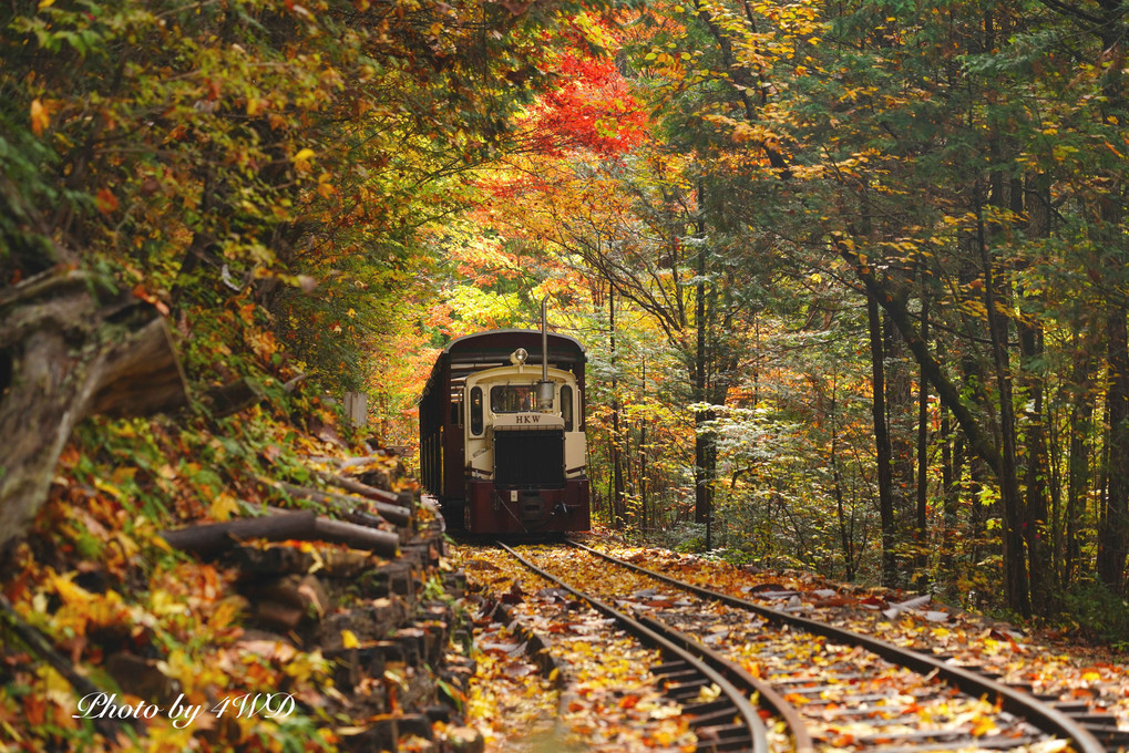 木曽路はすべて山の中　晩秋の森林鉄道