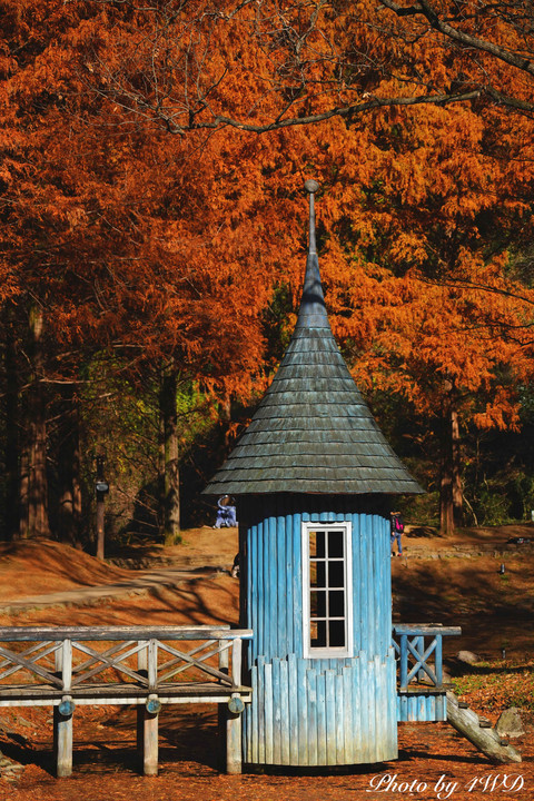 ムーミン谷の秋　スナフキンの青い水浴びの家