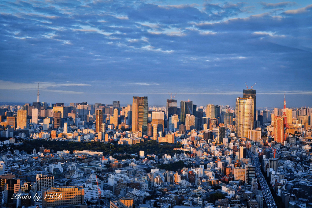 渋谷スカイ　夕景夜景